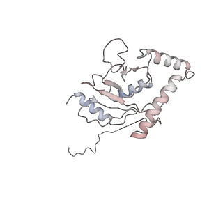 18915_8r5h_C_v1-1
Ubiquitin ligation to neosubstrate by a cullin-RING E3 ligase & Cdc34: NEDD8-CUL2-RBX1-ELOB/C-VHL-MZ1 with trapped UBE2R2~donor UB-BRD4 BD2