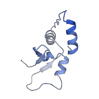 18915_8r5h_D_v1-1
Ubiquitin ligation to neosubstrate by a cullin-RING E3 ligase & Cdc34: NEDD8-CUL2-RBX1-ELOB/C-VHL-MZ1 with trapped UBE2R2~donor UB-BRD4 BD2