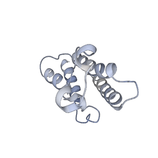 18915_8r5h_F_v1-1
Ubiquitin ligation to neosubstrate by a cullin-RING E3 ligase & Cdc34: NEDD8-CUL2-RBX1-ELOB/C-VHL-MZ1 with trapped UBE2R2~donor UB-BRD4 BD2