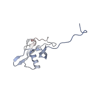 18915_8r5h_G_v1-1
Ubiquitin ligation to neosubstrate by a cullin-RING E3 ligase & Cdc34: NEDD8-CUL2-RBX1-ELOB/C-VHL-MZ1 with trapped UBE2R2~donor UB-BRD4 BD2