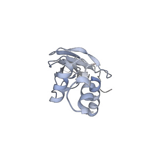 18915_8r5h_H_v1-1
Ubiquitin ligation to neosubstrate by a cullin-RING E3 ligase & Cdc34: NEDD8-CUL2-RBX1-ELOB/C-VHL-MZ1 with trapped UBE2R2~donor UB-BRD4 BD2