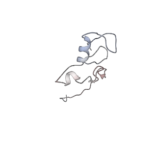 18915_8r5h_R_v1-1
Ubiquitin ligation to neosubstrate by a cullin-RING E3 ligase & Cdc34: NEDD8-CUL2-RBX1-ELOB/C-VHL-MZ1 with trapped UBE2R2~donor UB-BRD4 BD2