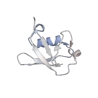 18915_8r5h_U_v1-1
Ubiquitin ligation to neosubstrate by a cullin-RING E3 ligase & Cdc34: NEDD8-CUL2-RBX1-ELOB/C-VHL-MZ1 with trapped UBE2R2~donor UB-BRD4 BD2