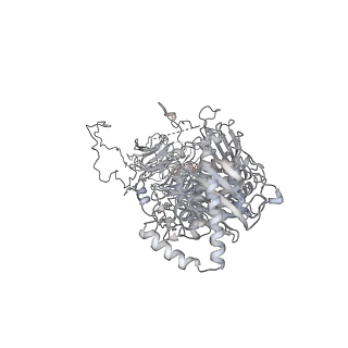 4728_6r5k_A_v1-3
Cryo-EM structure of a poly(A) RNP bound to the Pan2-Pan3 deadenylase