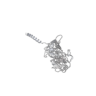 4728_6r5k_D_v1-3
Cryo-EM structure of a poly(A) RNP bound to the Pan2-Pan3 deadenylase
