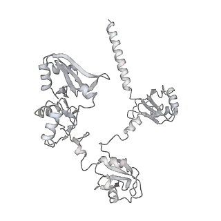 4728_6r5k_H_v1-3
Cryo-EM structure of a poly(A) RNP bound to the Pan2-Pan3 deadenylase