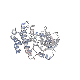 4728_6r5k_N_v1-3
Cryo-EM structure of a poly(A) RNP bound to the Pan2-Pan3 deadenylase