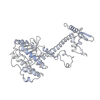 4728_6r5k_O_v1-3
Cryo-EM structure of a poly(A) RNP bound to the Pan2-Pan3 deadenylase
