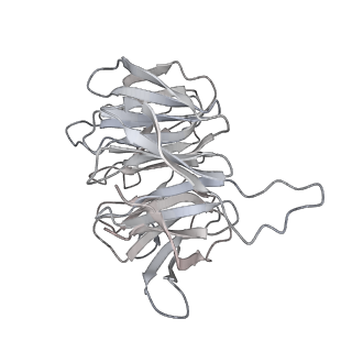4729_6r5q_6_v1-1
Structure of XBP1u-paused ribosome nascent chain complex (post-state)