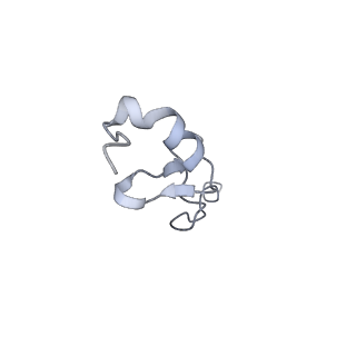 4729_6r5q_9_v1-1
Structure of XBP1u-paused ribosome nascent chain complex (post-state)