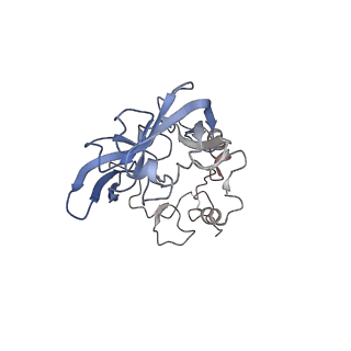 4729_6r5q_A_v1-1
Structure of XBP1u-paused ribosome nascent chain complex (post-state)