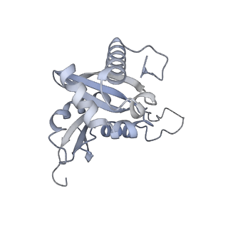 4729_6r5q_BB_v1-1
Structure of XBP1u-paused ribosome nascent chain complex (post-state)