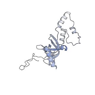 4729_6r5q_CC_v1-1
Structure of XBP1u-paused ribosome nascent chain complex (post-state)