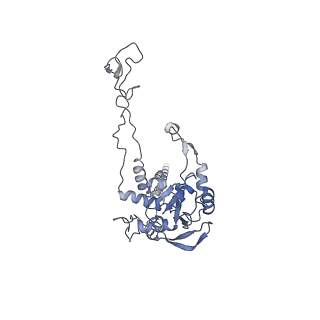 4729_6r5q_C_v1-1
Structure of XBP1u-paused ribosome nascent chain complex (post-state)