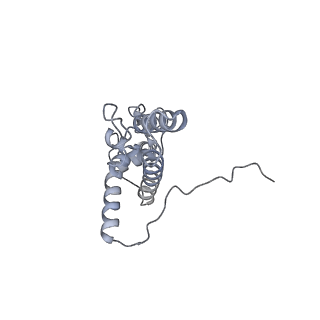 4729_6r5q_DD_v1-1
Structure of XBP1u-paused ribosome nascent chain complex (post-state)