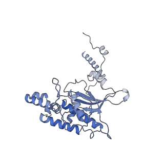4729_6r5q_D_v1-1
Structure of XBP1u-paused ribosome nascent chain complex (post-state)