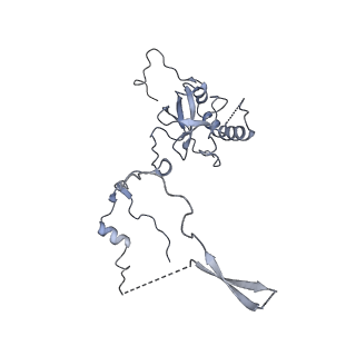 4729_6r5q_E_v1-1
Structure of XBP1u-paused ribosome nascent chain complex (post-state)