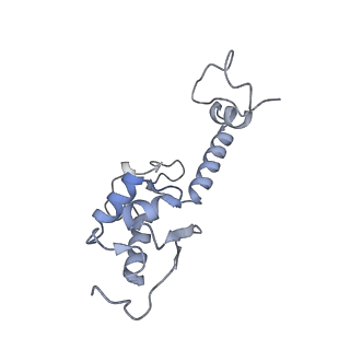 4729_6r5q_II_v1-1
Structure of XBP1u-paused ribosome nascent chain complex (post-state)