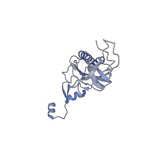 4729_6r5q_I_v1-1
Structure of XBP1u-paused ribosome nascent chain complex (post-state)