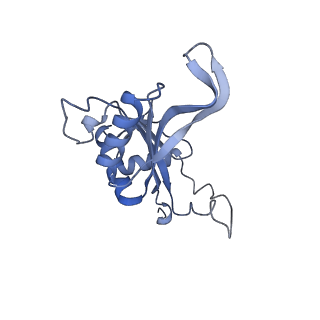 4729_6r5q_J_v1-1
Structure of XBP1u-paused ribosome nascent chain complex (post-state)