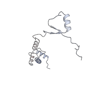 4729_6r5q_KK_v1-1
Structure of XBP1u-paused ribosome nascent chain complex (post-state)