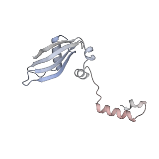 4729_6r5q_NN_v1-1
Structure of XBP1u-paused ribosome nascent chain complex (post-state)