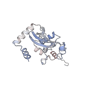 4729_6r5q_N_v1-1
Structure of XBP1u-paused ribosome nascent chain complex (post-state)