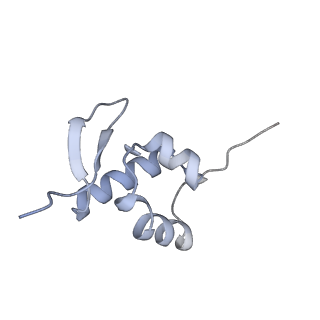 4729_6r5q_OO_v1-1
Structure of XBP1u-paused ribosome nascent chain complex (post-state)