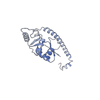4729_6r5q_O_v1-1
Structure of XBP1u-paused ribosome nascent chain complex (post-state)
