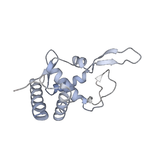 4729_6r5q_PP_v1-1
Structure of XBP1u-paused ribosome nascent chain complex (post-state)