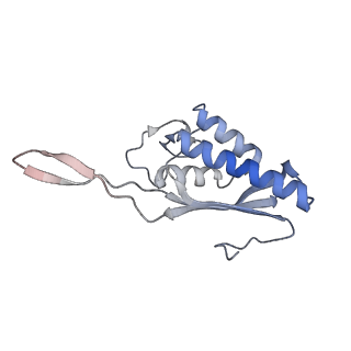 4729_6r5q_P_v1-1
Structure of XBP1u-paused ribosome nascent chain complex (post-state)