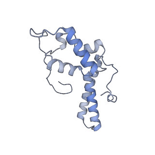 4729_6r5q_QQ_v1-1
Structure of XBP1u-paused ribosome nascent chain complex (post-state)