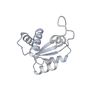 4729_6r5q_RR_v1-1
Structure of XBP1u-paused ribosome nascent chain complex (post-state)