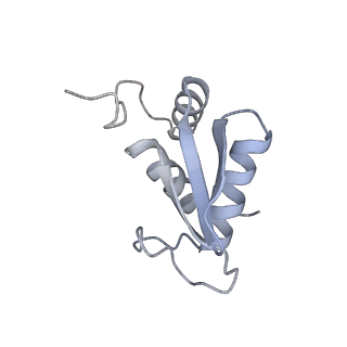 4729_6r5q_SS_v1-1
Structure of XBP1u-paused ribosome nascent chain complex (post-state)