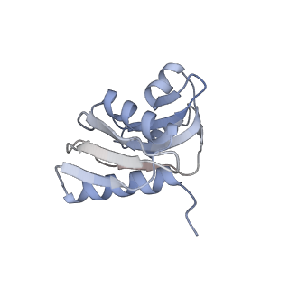4729_6r5q_TT_v1-1
Structure of XBP1u-paused ribosome nascent chain complex (post-state)