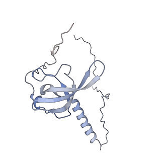 4729_6r5q_T_v1-1
Structure of XBP1u-paused ribosome nascent chain complex (post-state)