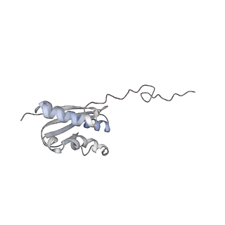 4729_6r5q_UU_v1-1
Structure of XBP1u-paused ribosome nascent chain complex (post-state)