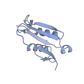 4729_6r5q_U_v1-1
Structure of XBP1u-paused ribosome nascent chain complex (post-state)