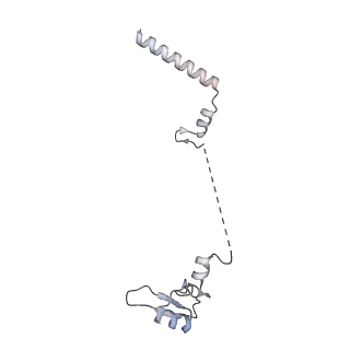 4729_6r5q_W_v1-1
Structure of XBP1u-paused ribosome nascent chain complex (post-state)