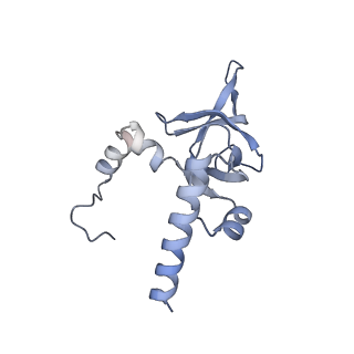 4729_6r5q_Y_v1-1
Structure of XBP1u-paused ribosome nascent chain complex (post-state)
