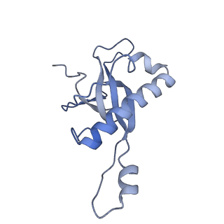 4729_6r5q_Z_v1-1
Structure of XBP1u-paused ribosome nascent chain complex (post-state)