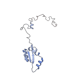 4729_6r5q_a_v1-1
Structure of XBP1u-paused ribosome nascent chain complex (post-state)