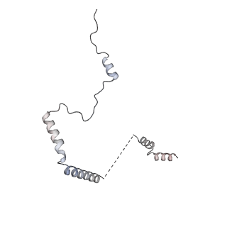 4729_6r5q_b_v1-1
Structure of XBP1u-paused ribosome nascent chain complex (post-state)