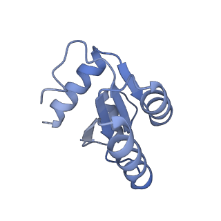 4729_6r5q_c_v1-1
Structure of XBP1u-paused ribosome nascent chain complex (post-state)