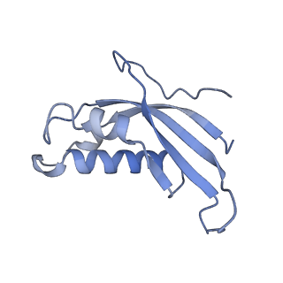 4729_6r5q_d_v1-1
Structure of XBP1u-paused ribosome nascent chain complex (post-state)
