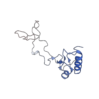4729_6r5q_e_v1-1
Structure of XBP1u-paused ribosome nascent chain complex (post-state)