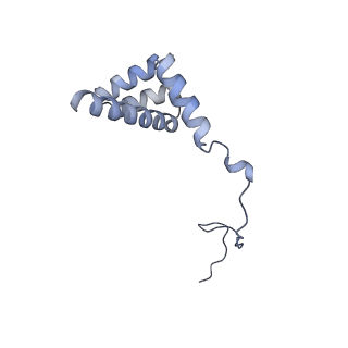 4729_6r5q_i_v1-1
Structure of XBP1u-paused ribosome nascent chain complex (post-state)