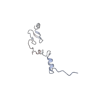 4729_6r5q_j_v1-1
Structure of XBP1u-paused ribosome nascent chain complex (post-state)