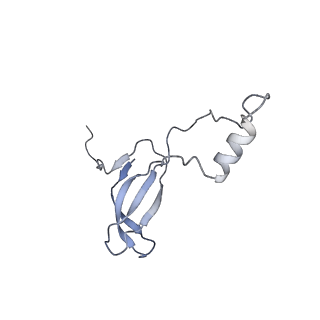 4729_6r5q_o_v1-1
Structure of XBP1u-paused ribosome nascent chain complex (post-state)