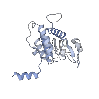 4729_6r5q_q_v1-1
Structure of XBP1u-paused ribosome nascent chain complex (post-state)
